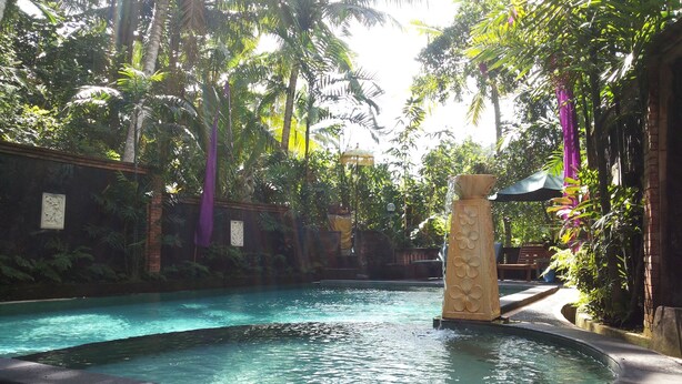 Un área de piscina con una fuente central, rodeada de exuberante vegetación y un muro de piedra.