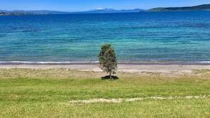 Eine grüne Fläche im Vordergrund mit einem einzelnen Baum, einem klaren blauen Himmel und einem ruhigen Meer mit Bergen in der Ferne.