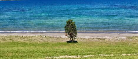 Une zone herbeuse avec un seul arbre au premier plan, un ciel bleu dégagé et une mer calme avec des montagnes à l’horizon.
