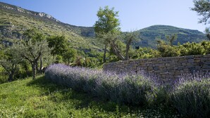 Un mur de pierres, avec des champs de lavande et des arbres au premier plan, et un paysage montagneux en arrière-plan.