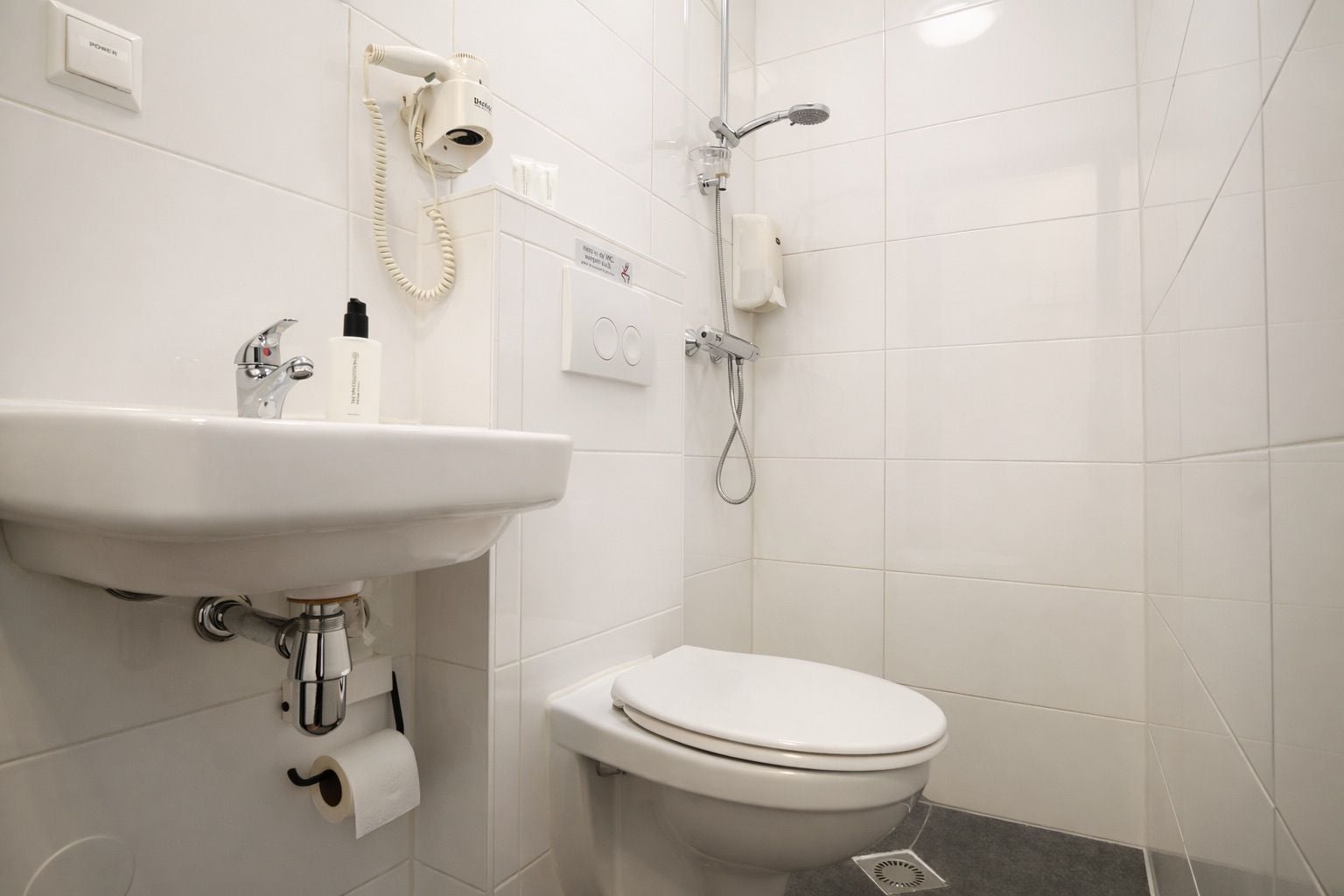 A bathroom with a white sink, toilet, and a handheld showerhead.