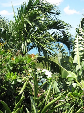 Room | Garden - Apartment Espoir (Gros Islet)
