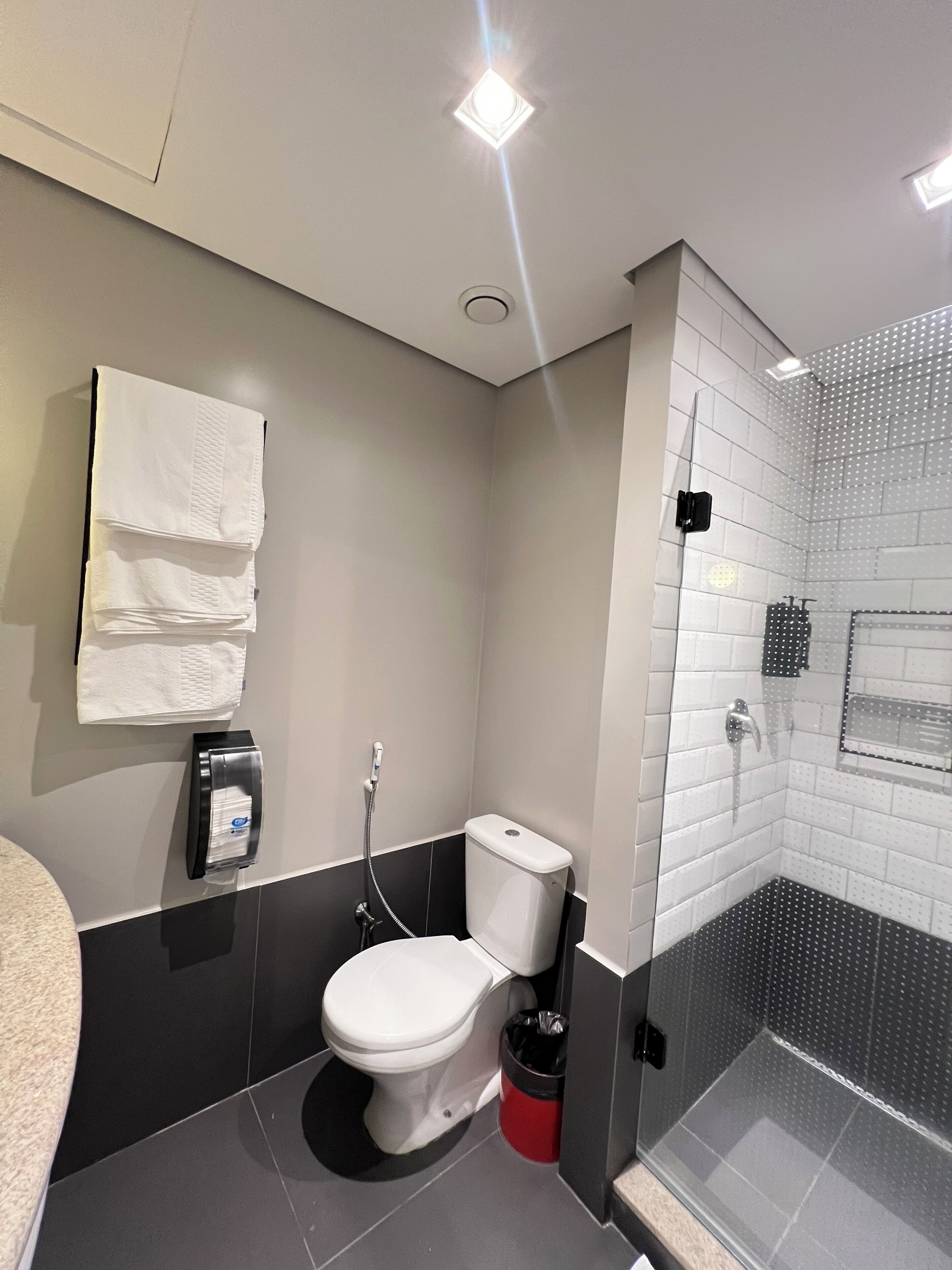 superior room, 1 double bed | bathroom | shower, eco-friendly toiletries, hair dryer, towels