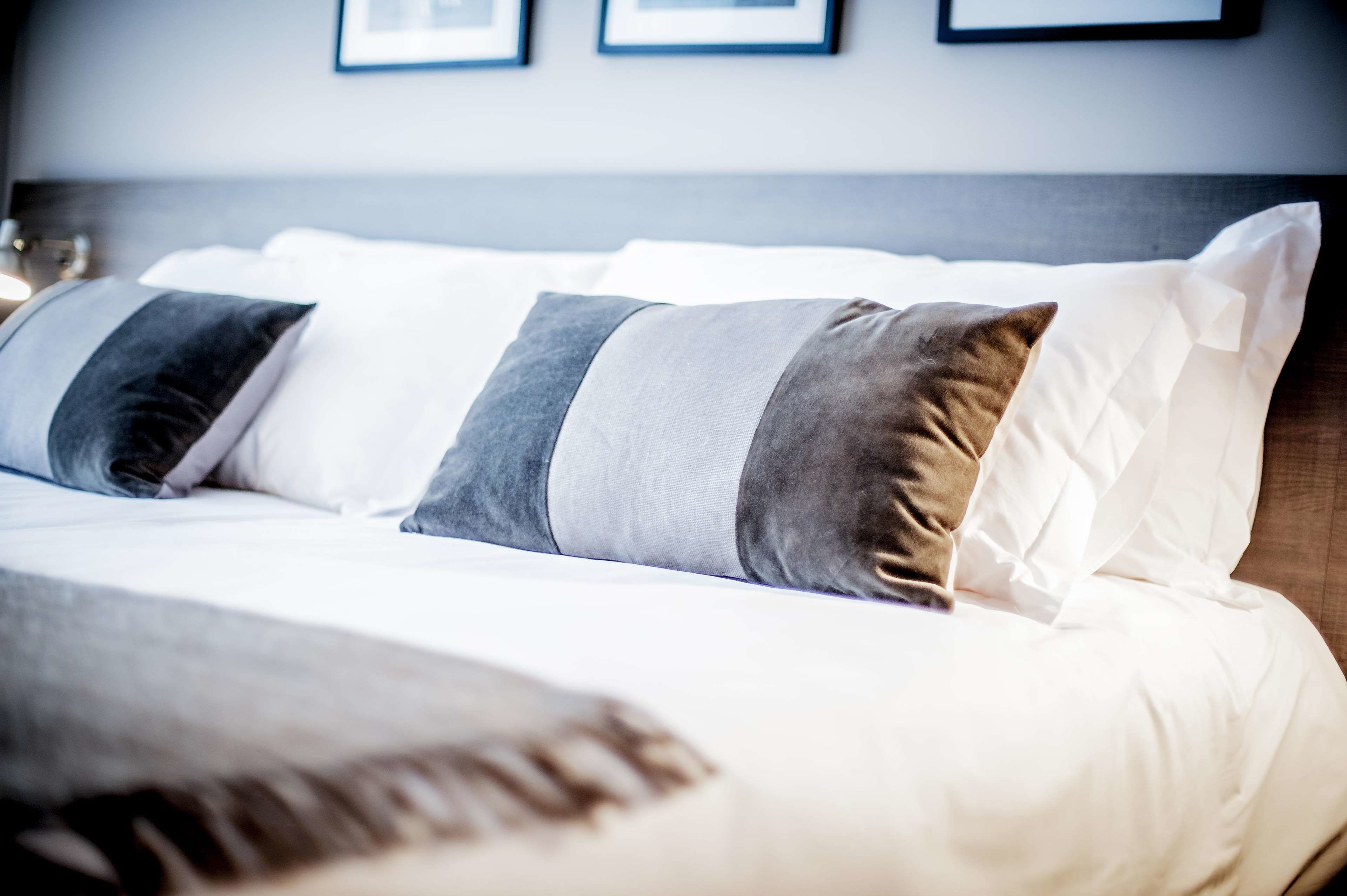 suite | view from room