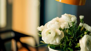 A white flower arrangement in a white pot. - Hôtel Daval (Paris)