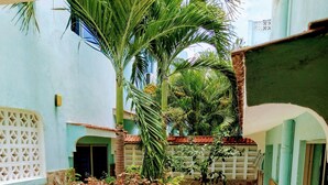A courtyard with a mosaic floor, a palm tree, and a white fence.