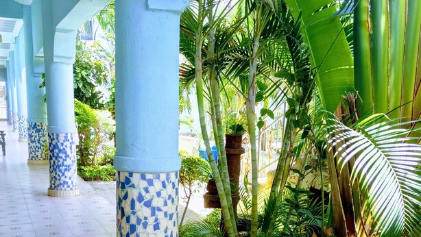 A corridor with tiled flooring and blue and white patterned columns, surrounded by lush greenery and plants.