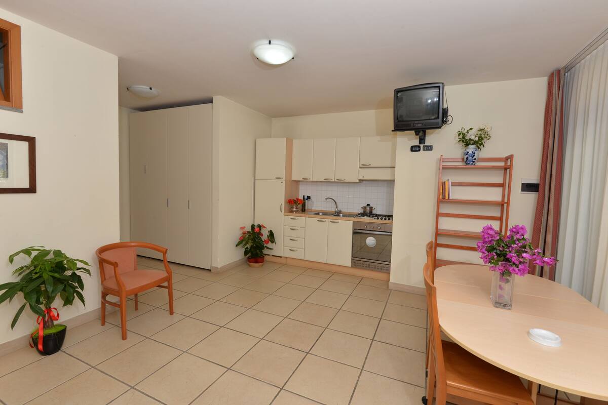 A compact kitchen with a dining area, a TV mounted above the counter, and a potted plant on the table.