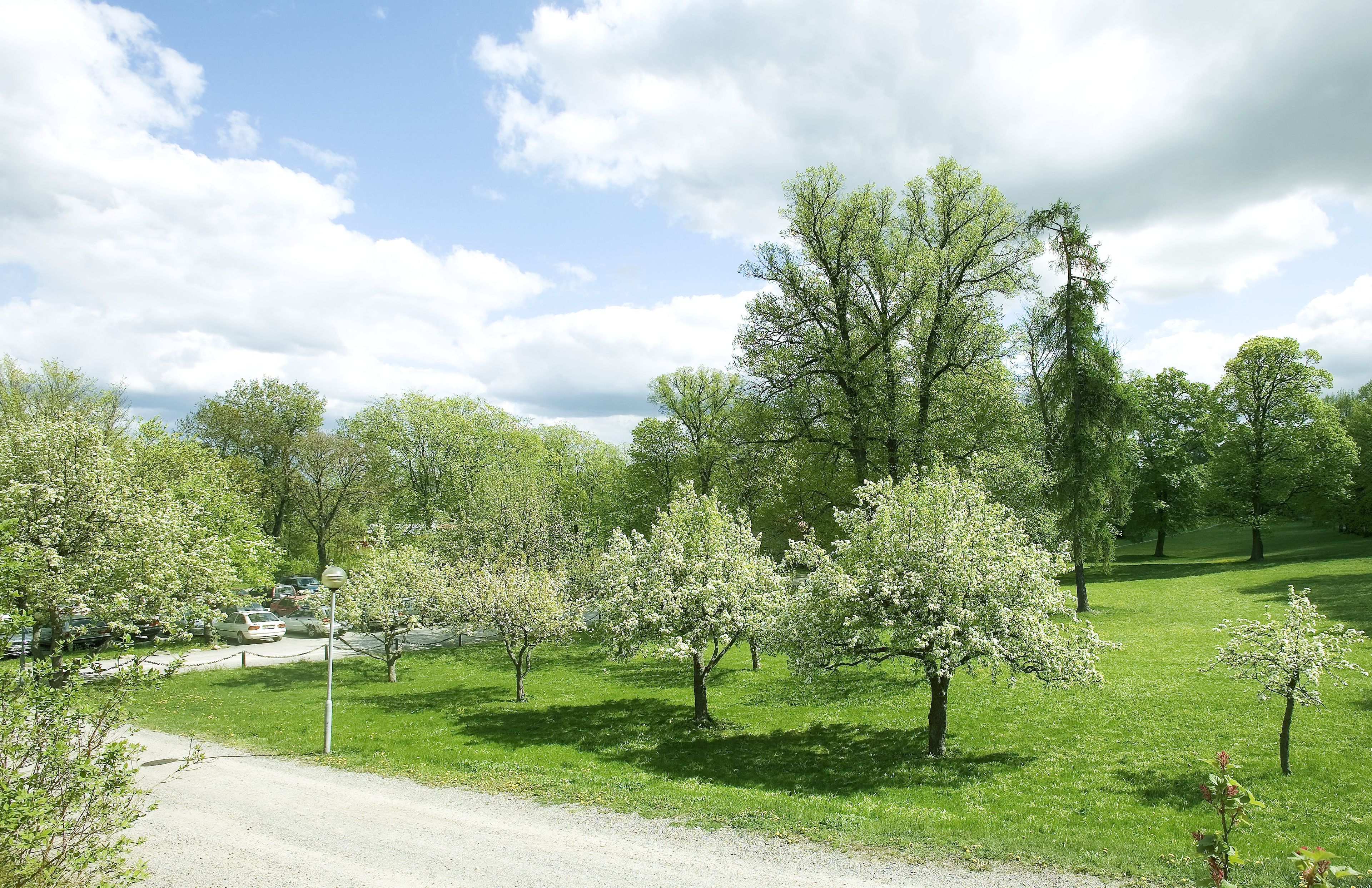 junior suite | park view