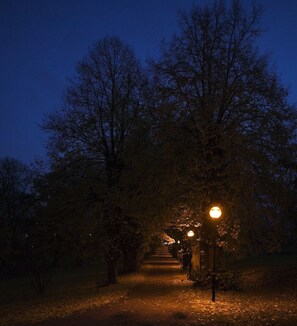 Vue depuis l’hébergement