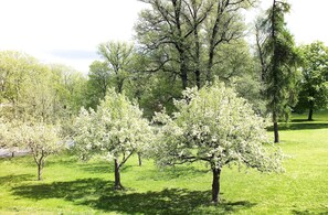 Vue depuis l’hébergement