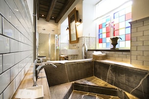Hair dryer, towels, soap, shampoo
