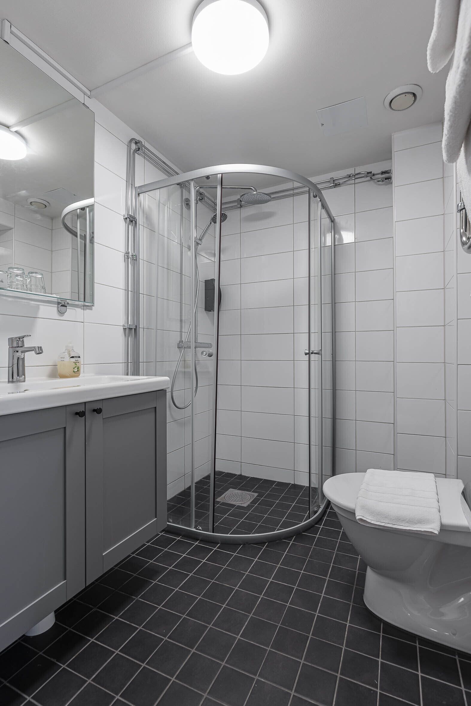 Un baño moderno con ducha envuelta en vidrio, inodoro blanco y espejo sobre el lavabo.