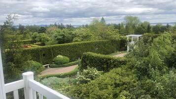 A lush garden with neatly trimmed hedges and a pathway.