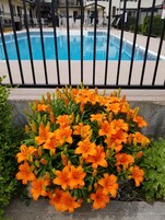 Εξωτερικός χώρος καταλύματος