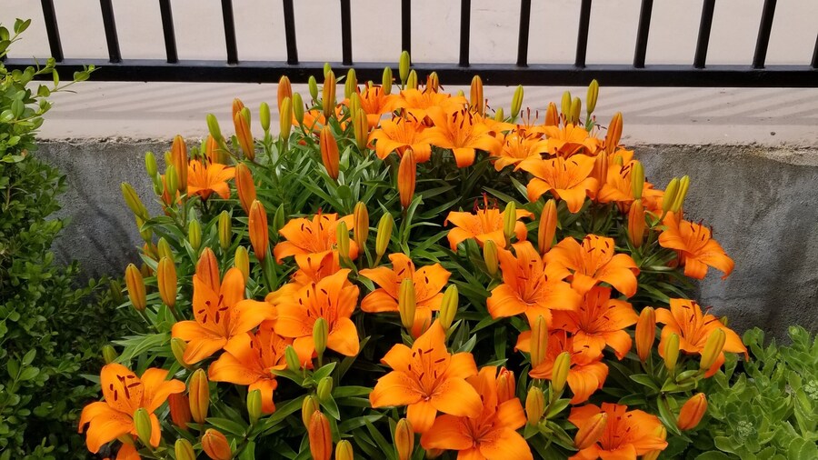 Osoyoos Lakeview Inn & Suites