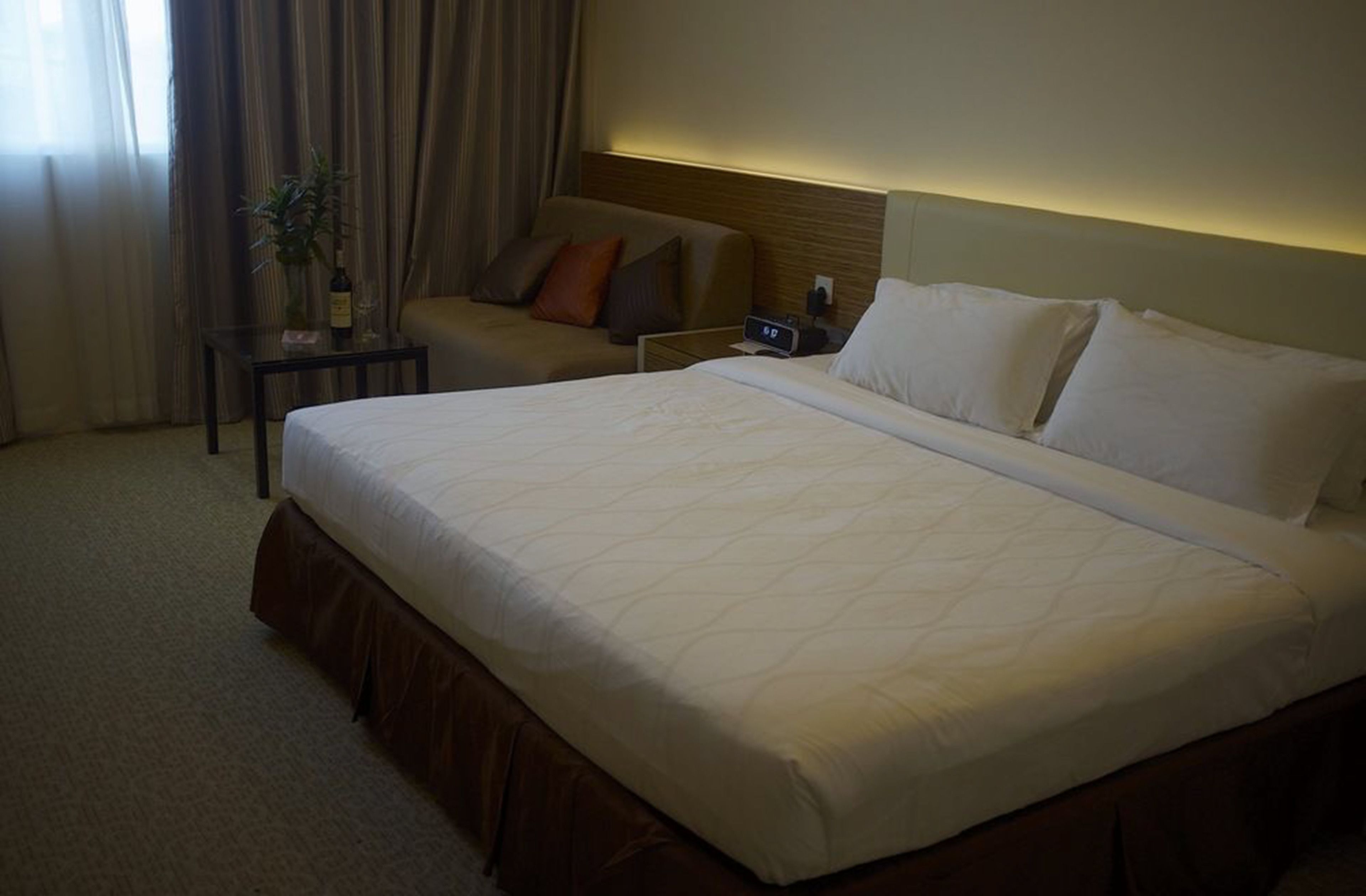 A hotel room with a large bed, a sofa, a small table with a plant, and a nightstand with a lamp.