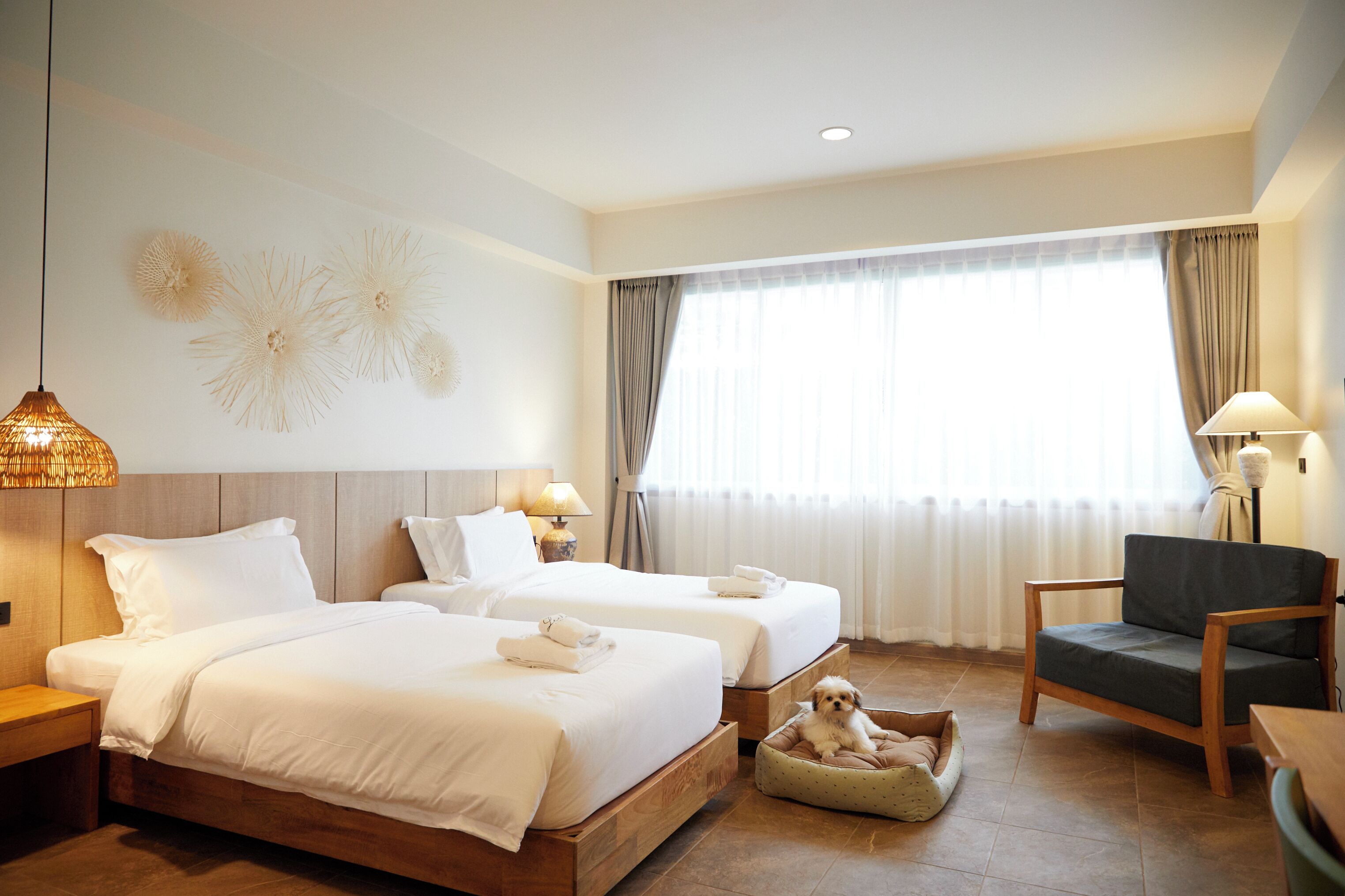 Pet-Friendly Signature Suite | In-room safe, desk, laptop workspace, soundproofing