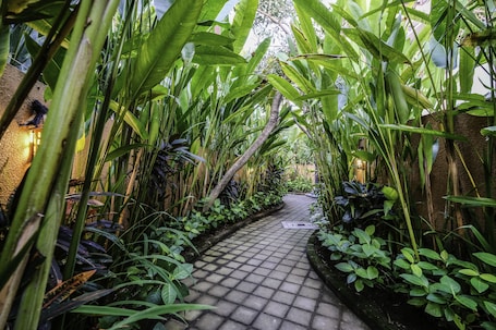 Garden. Papillon Umalas Villas