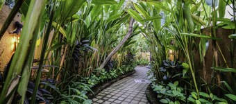 Papillon Umalas Villas