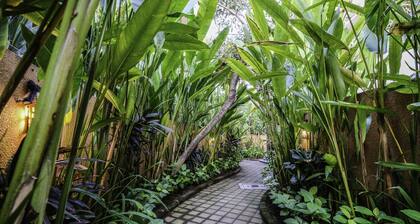 Papillon Umalas Villas