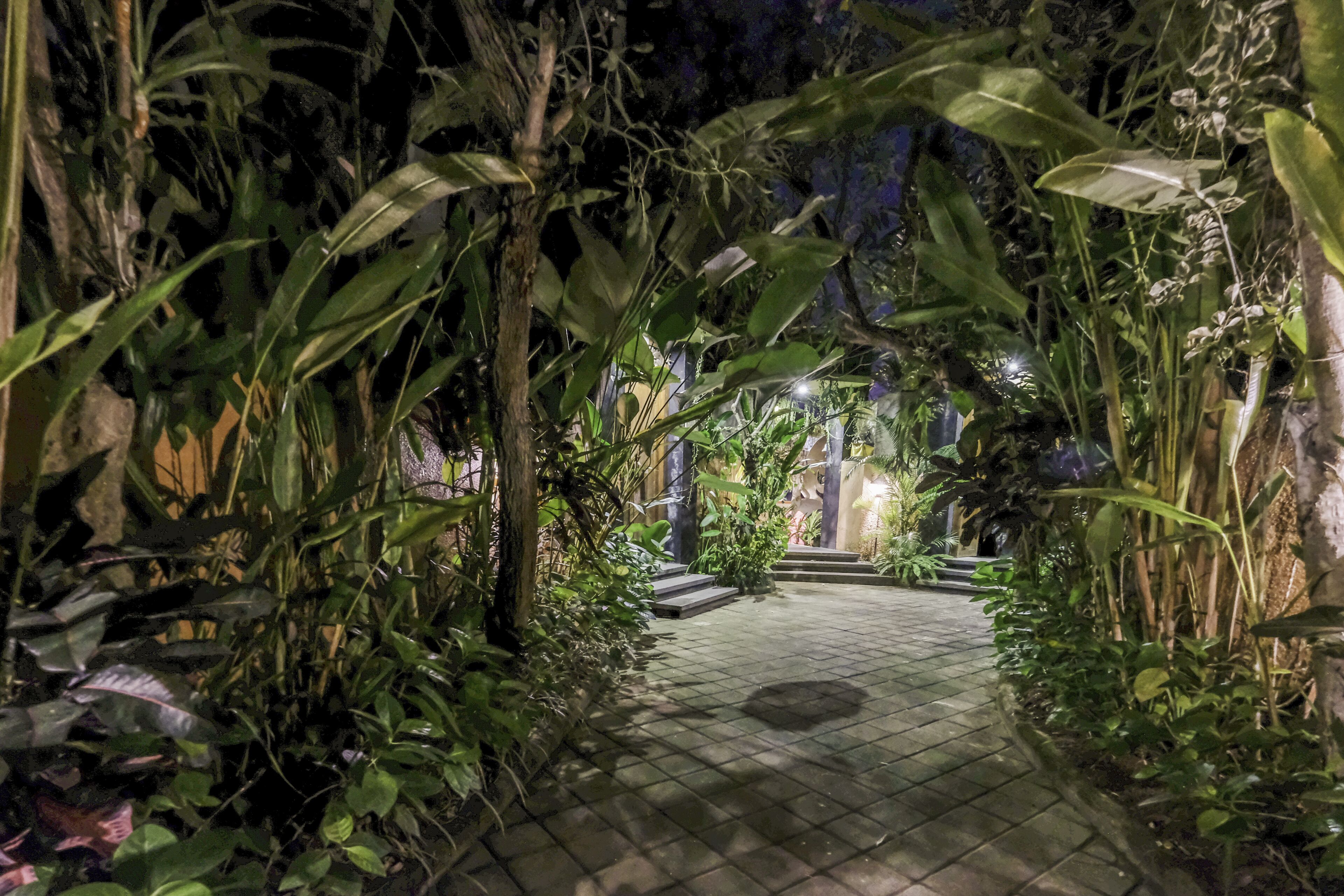 Un sentier bordé d’une végétation luxuriante menant à l’entrée d’un bâtiment.