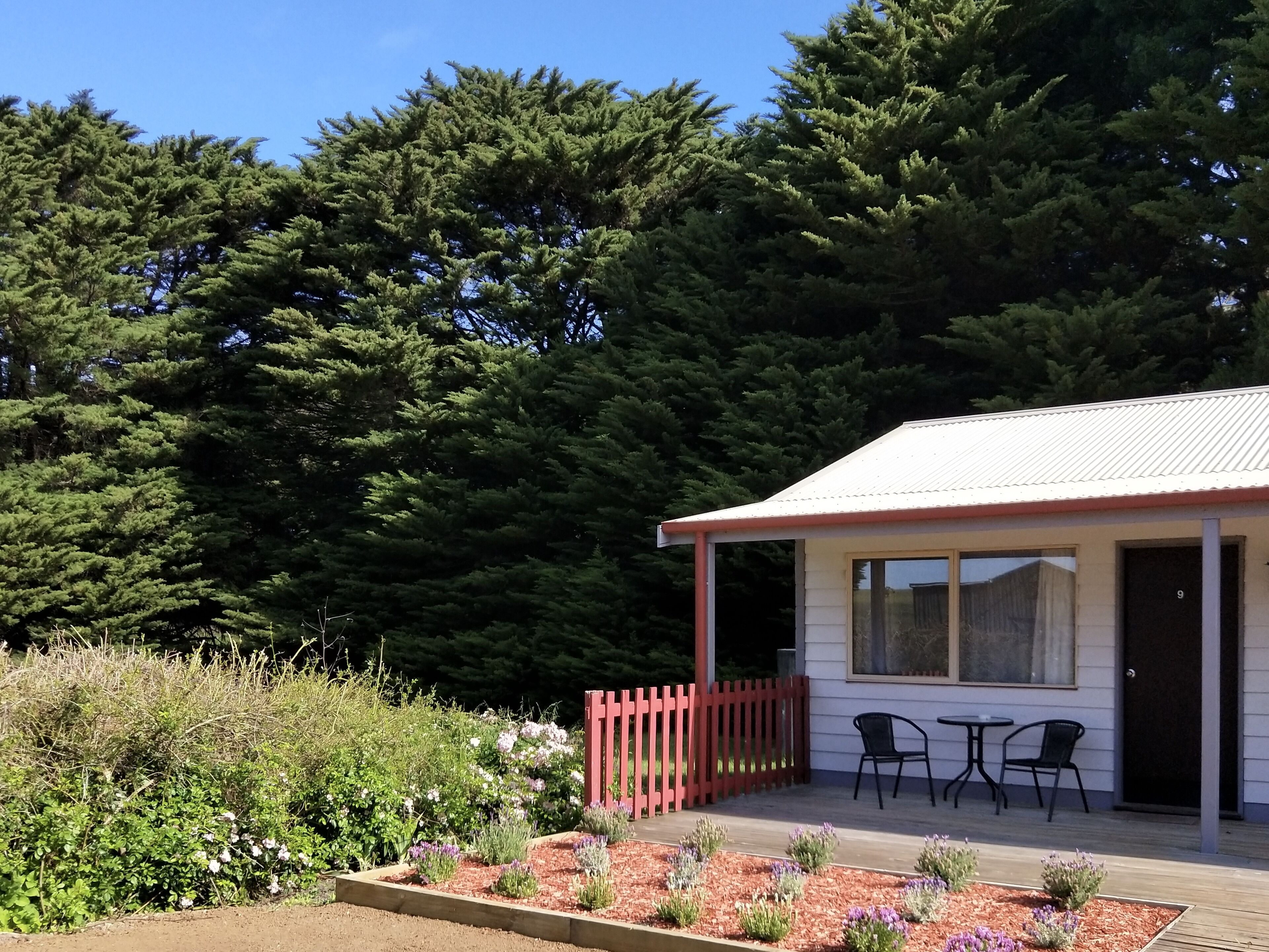 إطلالة على الفناء