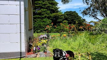 Pet Friendly King Bed Cottage with Garden View | 1 bedroom, desk, blackout curtains, iron/ironing board