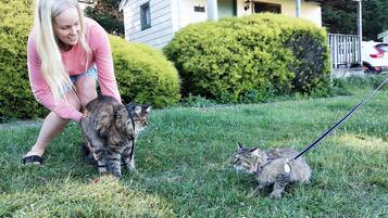 Enjoy a pet-friendly home with a porch and driveway, surrounded by a well-manicured lawn and lush vegetation.
