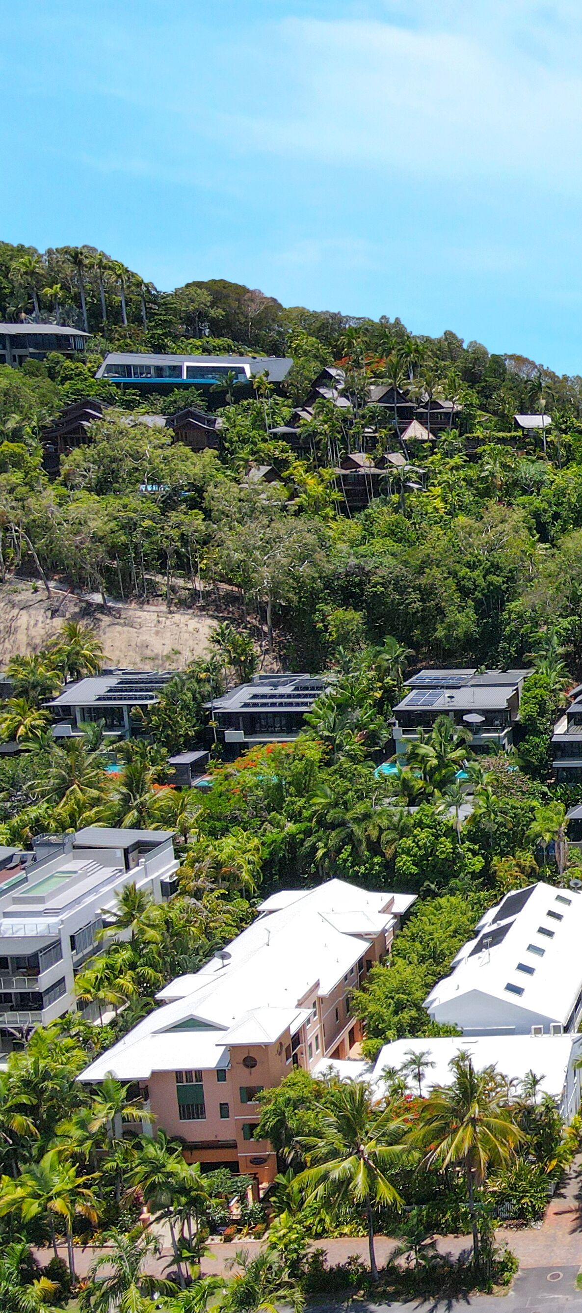 A resort with multiple buildings surrounded by dense tropical vegetation, including palm trees.