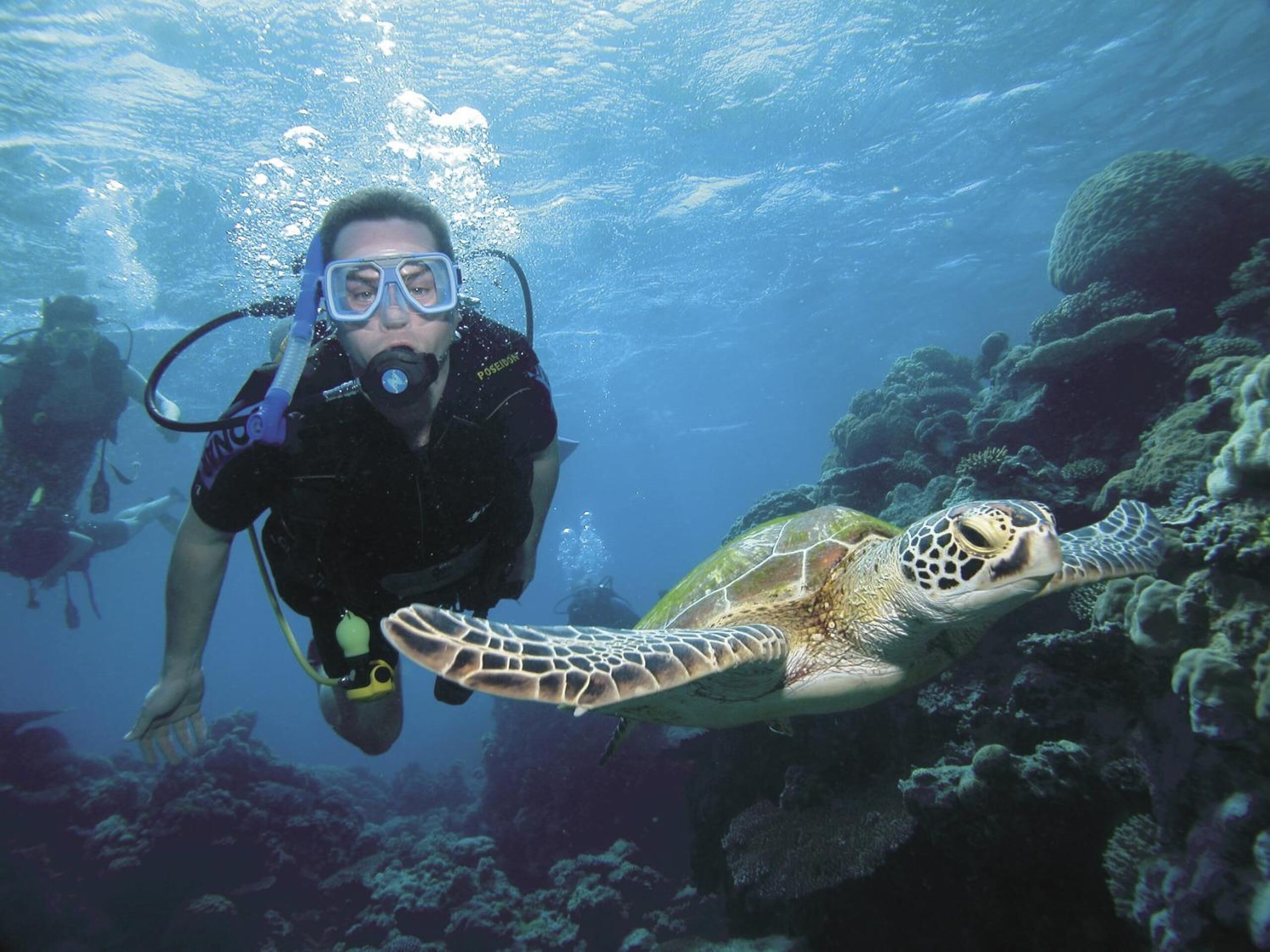 A diver swimming with a sea turtle in a clear underwater environment.