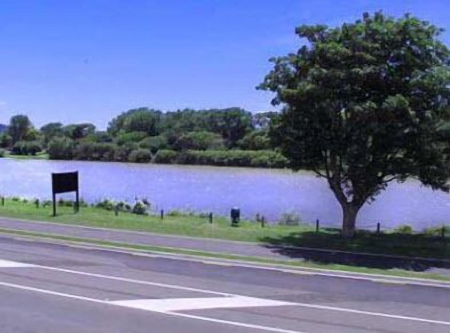 Una carretera con un árbol y una masa de agua al fondo.