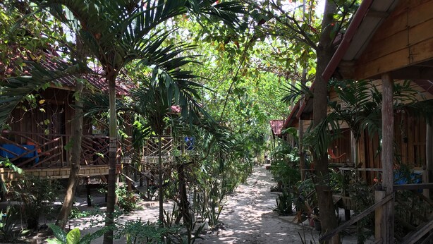 A covered outdoor area with a sandy path, surrounded by various plants and wooden structures. - Otres Beach Resort (Sihanoukville)
