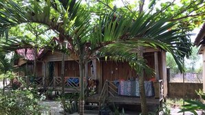 A rustic wooden house with a porch, surrounded by tropical vegetation and a sandy ground. - Otres Beach Resort (Sihanoukville)