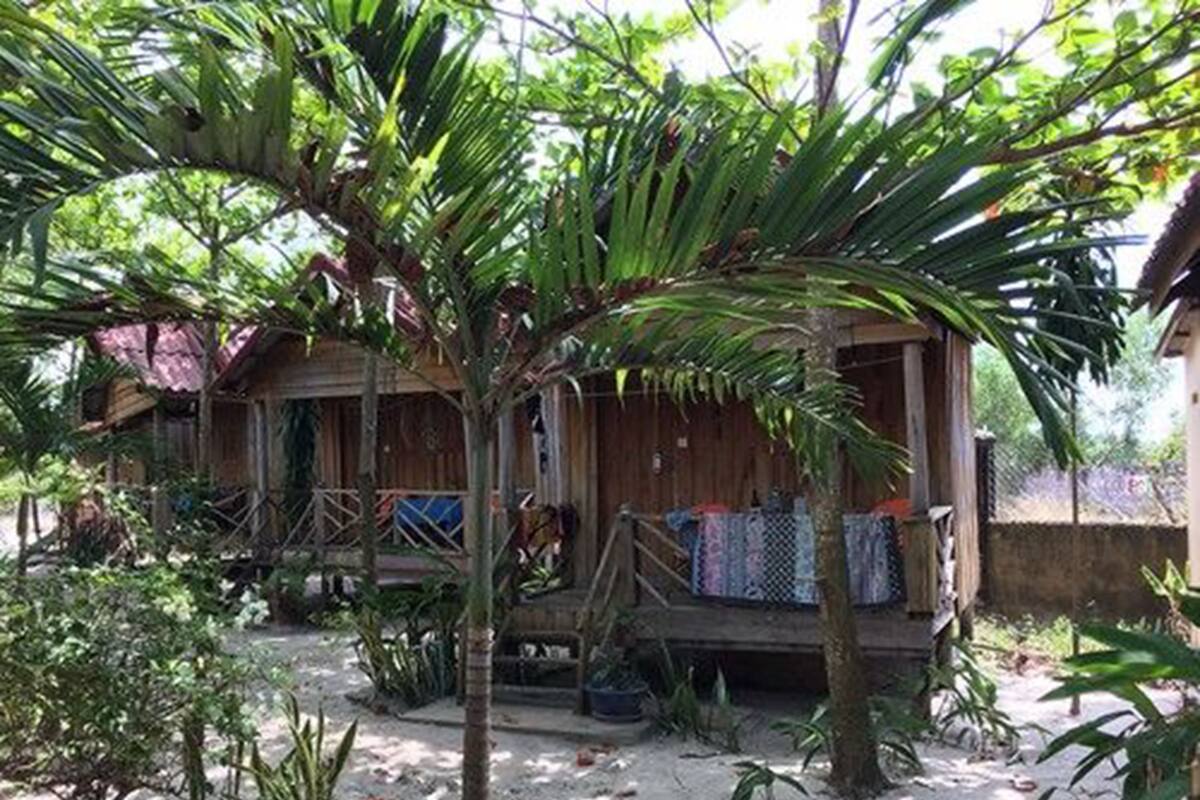 Une maison rustique en bois, dotée d’un porche, entourée d’une végétation tropicale et bordée d’un sol sablonneux.