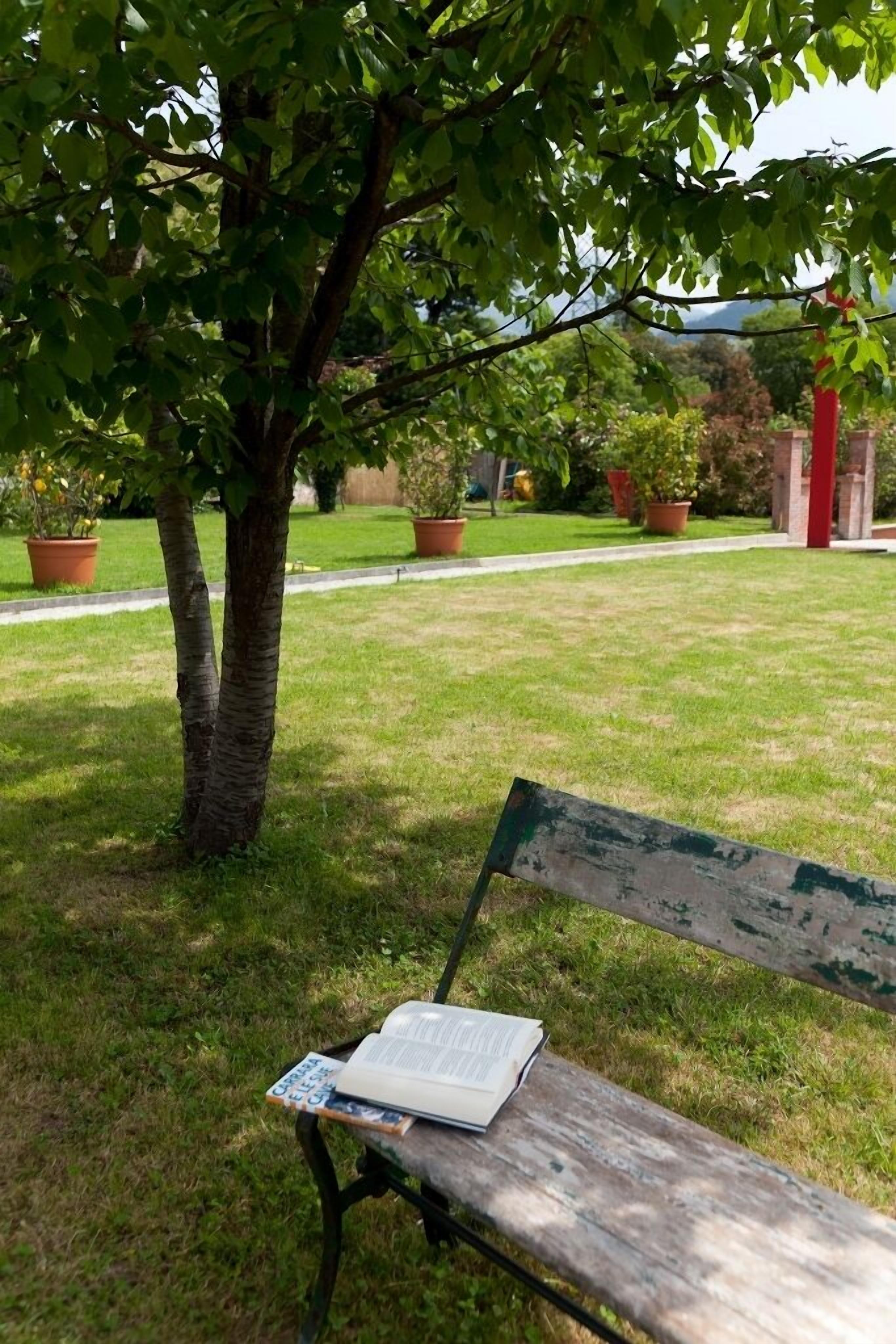 A bench with a book under a tree in a well-maintained garden area.
