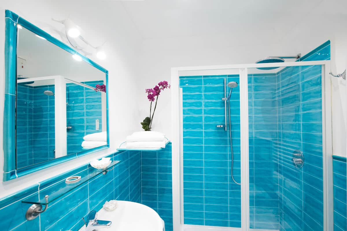 shower, free toiletries, hair dryer, bidet