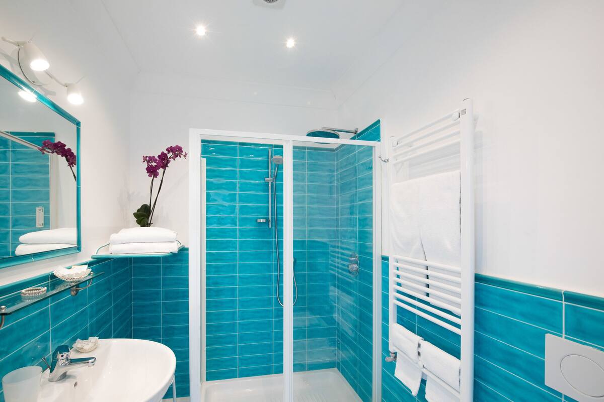 shower, free toiletries, hair dryer, bidet