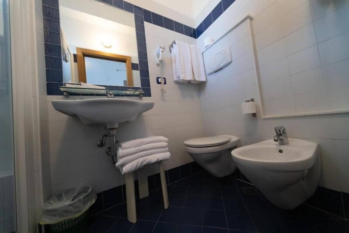 shower, hair dryer, bidet, towels