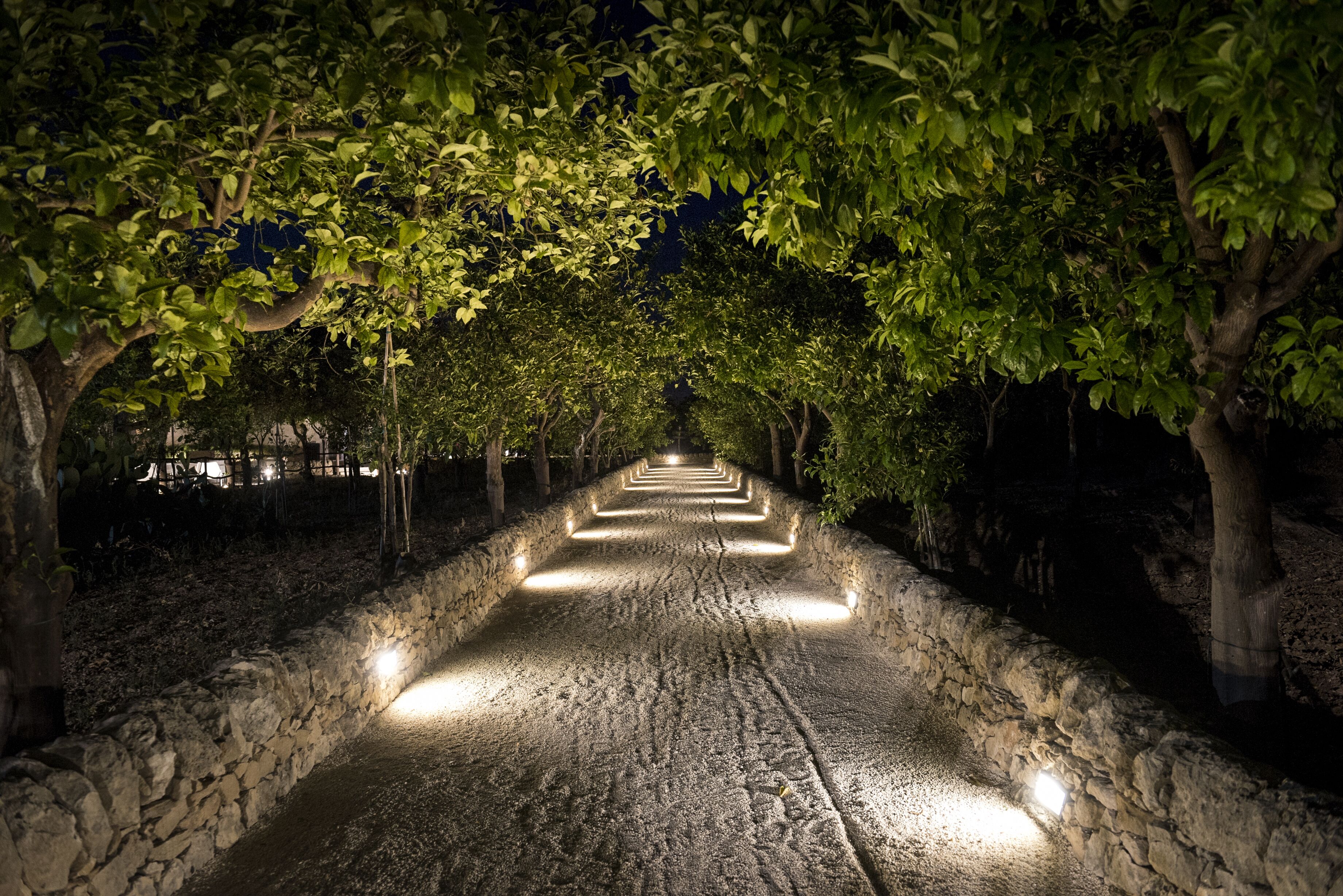 A stone pathway flanked by trees and illuminated by lights, leading to a distant structure.