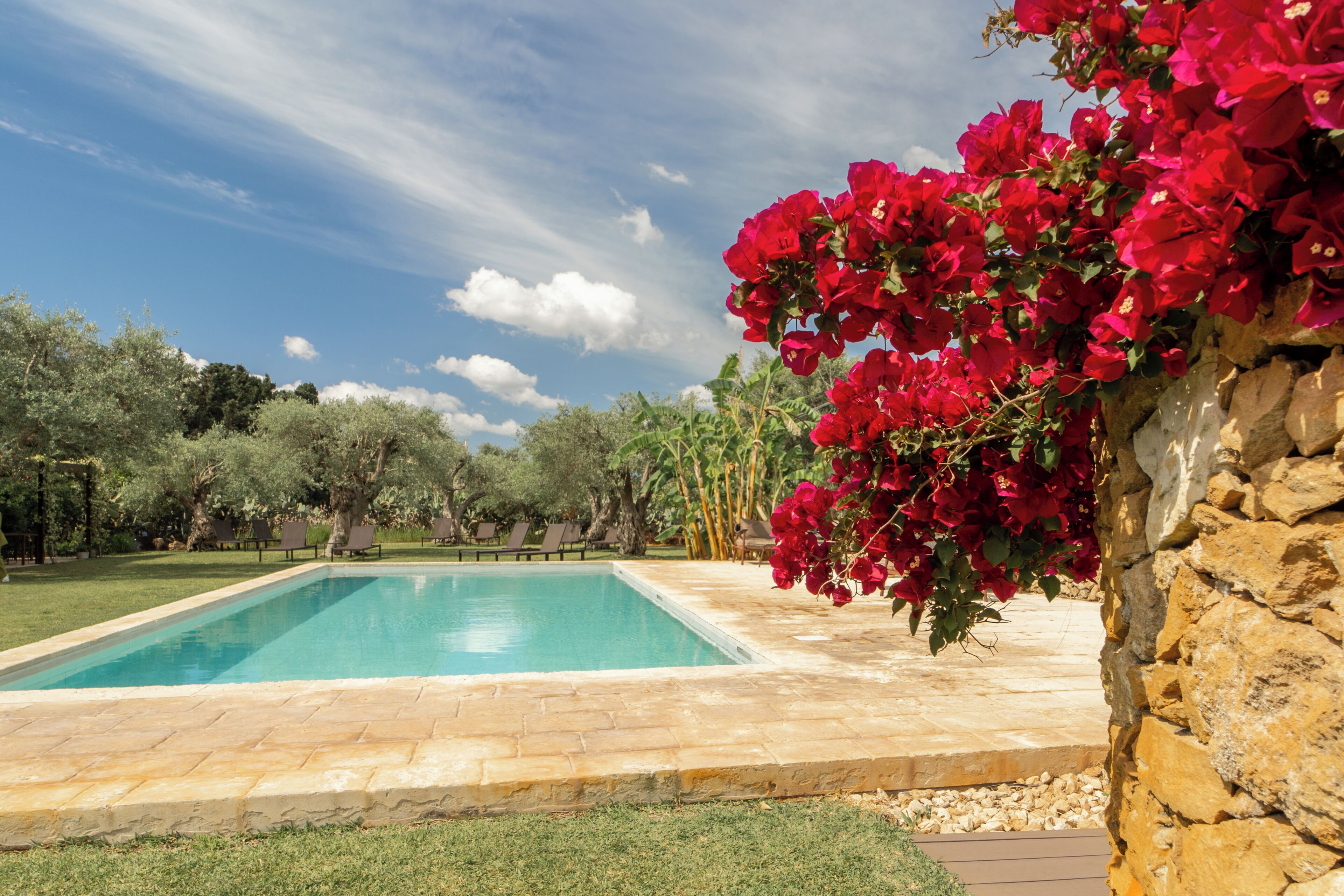 Seasonal outdoor pool, pool loungers