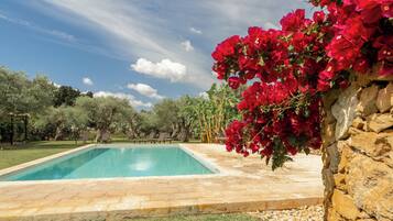 Seasonal outdoor pool, pool loungers