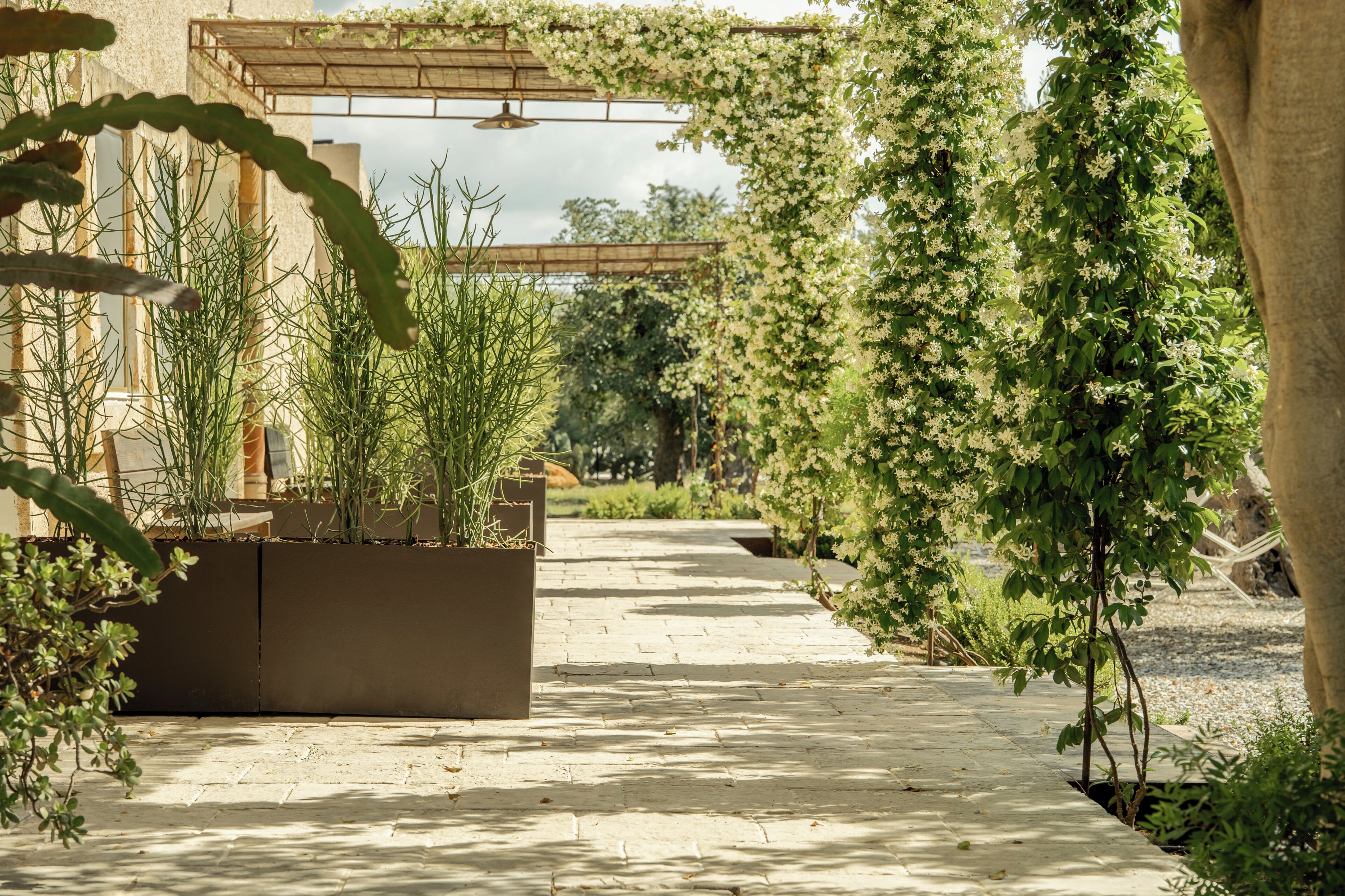 Jardin