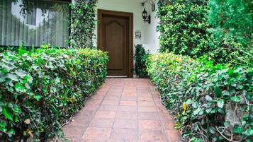 A stone pathway leading to a wooden door, flanked by lush green hedges.