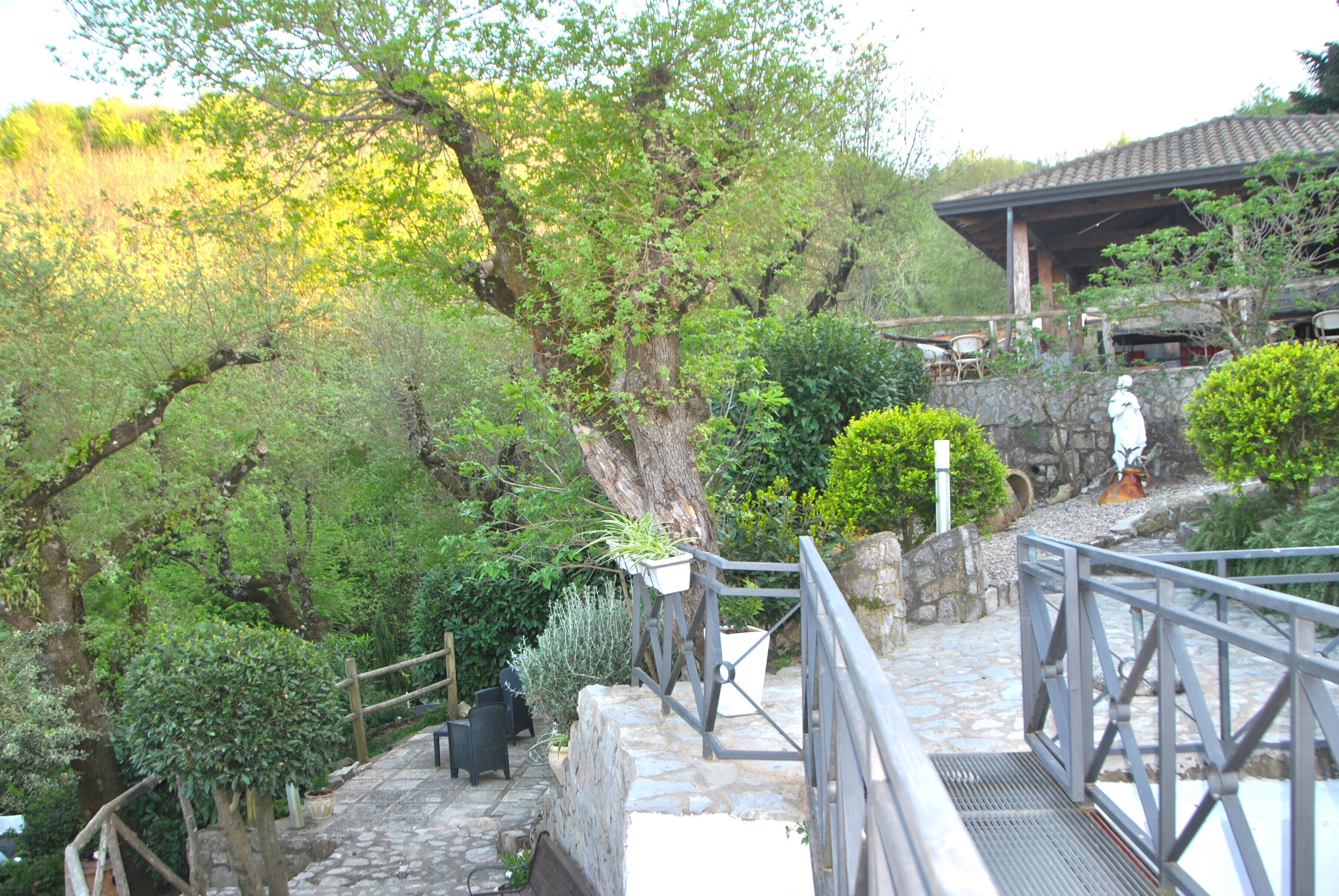 Panoramic Villa | Garden view
