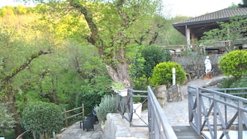 Panoramic Villa | Garden view