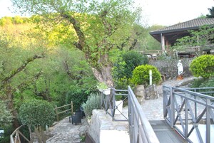 Vista al jardín