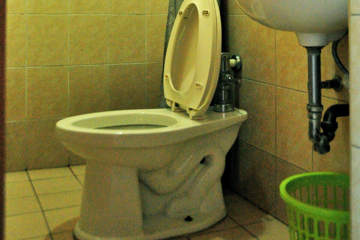 A bathroom with a toilet, a sink, and a shower curtain.