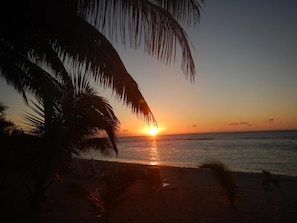 A beach scene with a sunset, palm trees, and a lounge chair. - Reefcomber Sunset Beach (Rarotonga)