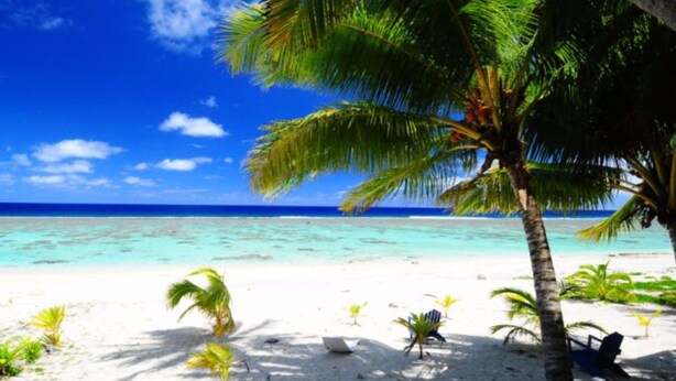 A beach with white sand, palm trees, and clear blue water.